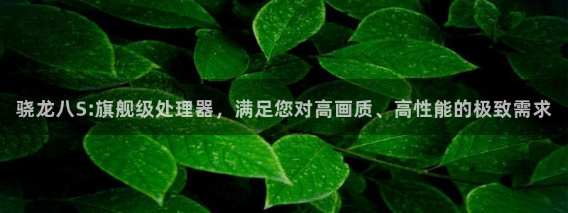 天天彩网站：骁龙八S:旗舰级处理器，满足您对高画质、高性能的极致需求