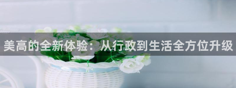 天天购物app下载：美高的全新体验：从行政到生活全方位升级