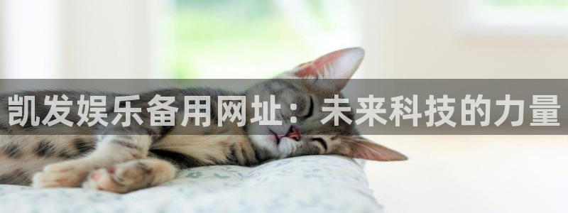 天天乐app下载：凯发娱乐备用网址：未来科技的力量