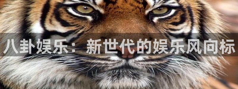 天天富app下载：八卦娱乐：新世代的娱乐风向标