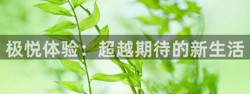 天天购彩welcome：极悦体验：超越期待的新生活