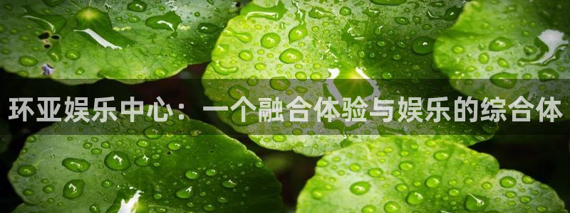 天天乐彩官网首页：环亚娱乐中心：一个融合体验与娱乐的综合体