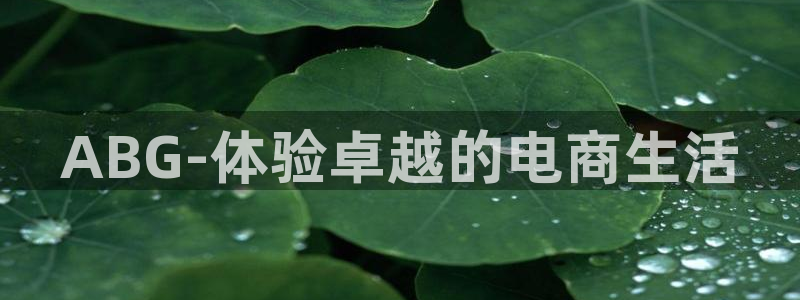 天天看app：ABG-体验卓越的电商生活