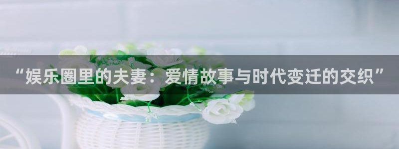 天天app：“娱乐圈里的夫妻：爱情故事与时代变迁的交织”