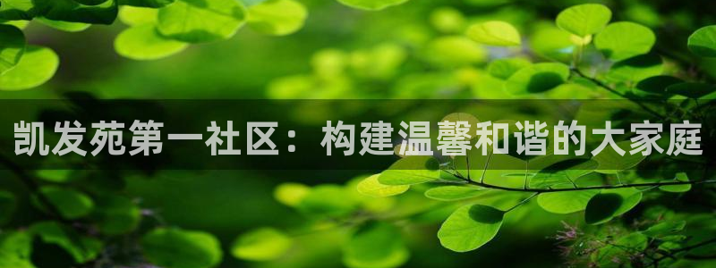 天天彩官网入口