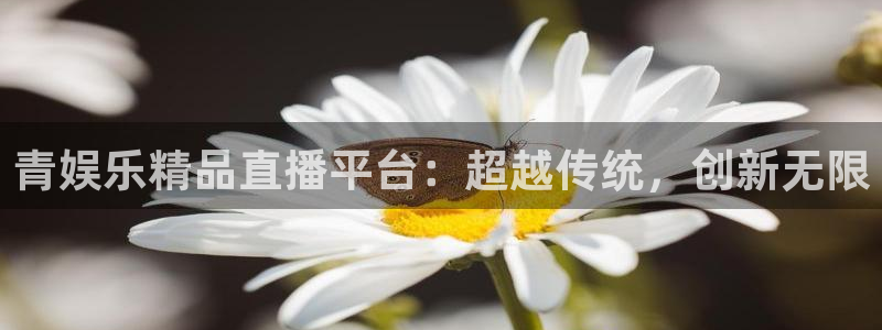 天天购彩官网：青娱乐精品直播平台：超越传统，创新无限