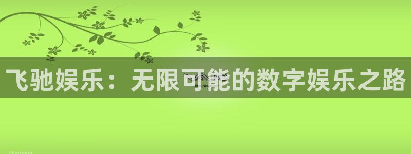 天天彩网：飞驰娱乐：无限可能的数字娱乐之路