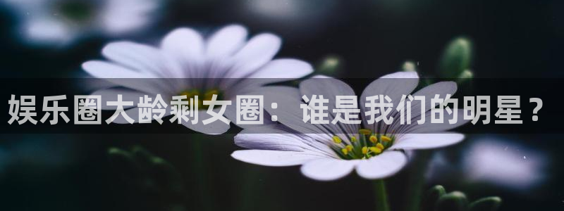 天天彩报1：娱乐圈大龄剩女圈：谁是我们的明星？
