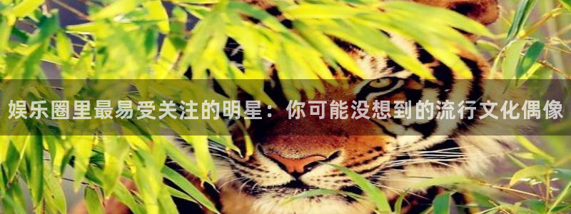 下载天天彩平台：娱乐圈里最易受关注的明星：你可能没想到的流行文化偶像