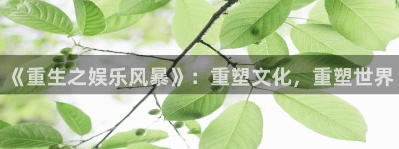 天天购彩welcome：《重生之娱乐风暴》：重塑文化，重塑世界