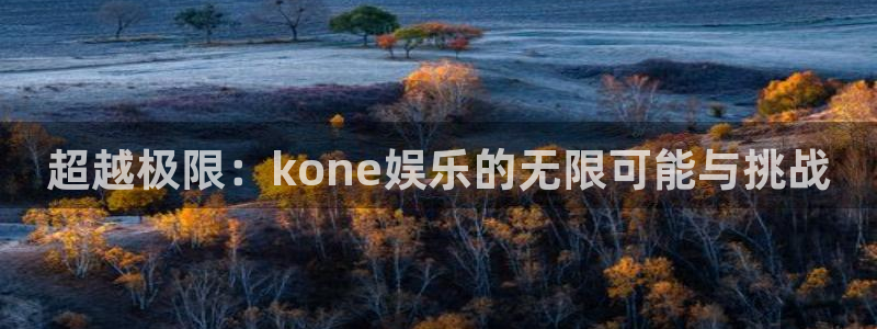 天天购彩：超越极限：kone娱乐的无限可能与挑战