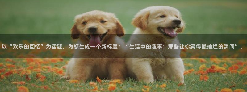 天天乐彩官网首页：以“欢乐的回忆”为话题，为您生成一个新标题：“生活中的趣事：那些让你笑得最灿烂的瞬间”。
