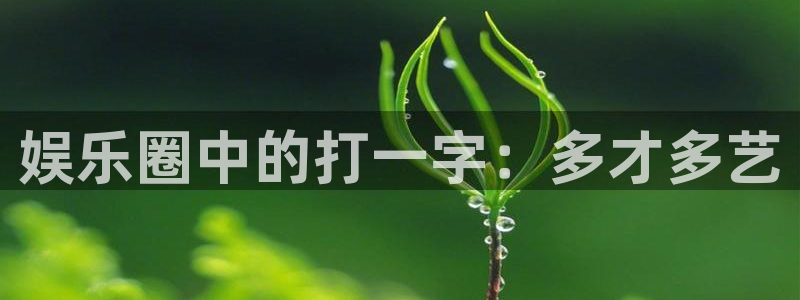 天天看app：娱乐圈中的打一字：多才多艺
