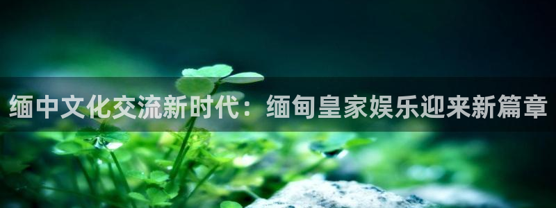 天天购物app下载：缅中文化交流新时代：缅甸皇家娱乐迎来新篇章