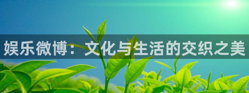 天天购彩官网：娱乐微博：文化与生活的交织之美