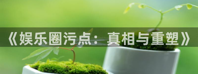 天天乐app下载：《娱乐圈污点：真相与重塑》