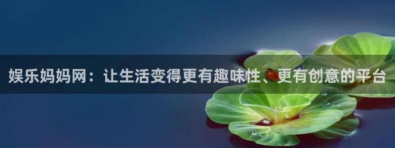 天天看球app官网下载：娱乐妈妈网：让生活变得更有趣味性、更有创意的平台