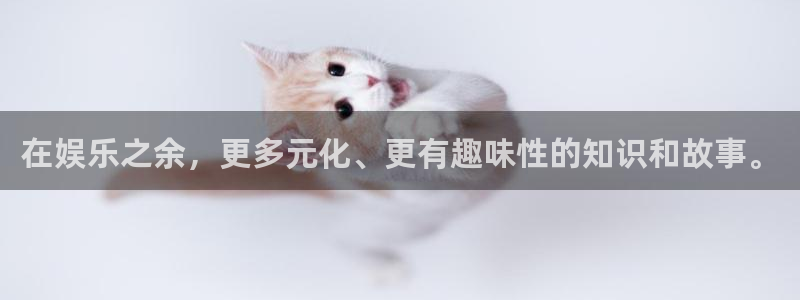 天天彩官网：在娱乐之余，更多元化、更有趣味性的知识和故事。