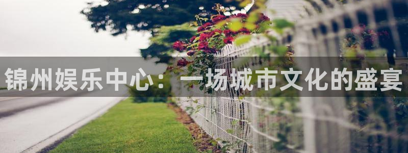 下载天天彩平台：锦州娱乐中心：一场城市文化的盛宴