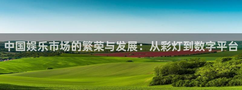 天天乐app下载：中国娱乐市场的繁荣与发展：从彩灯到数字平台