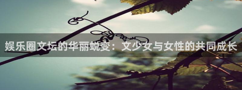 天天日app下载：娱乐圈文坛的华丽蜕变：文少女与女性的共同成长