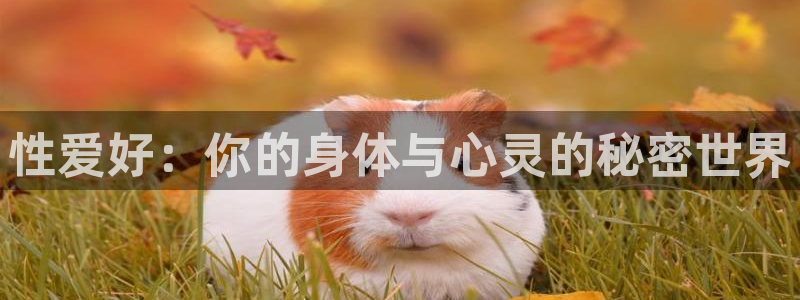 天天富app下载：性爱好：你的身体与心灵的秘密世界